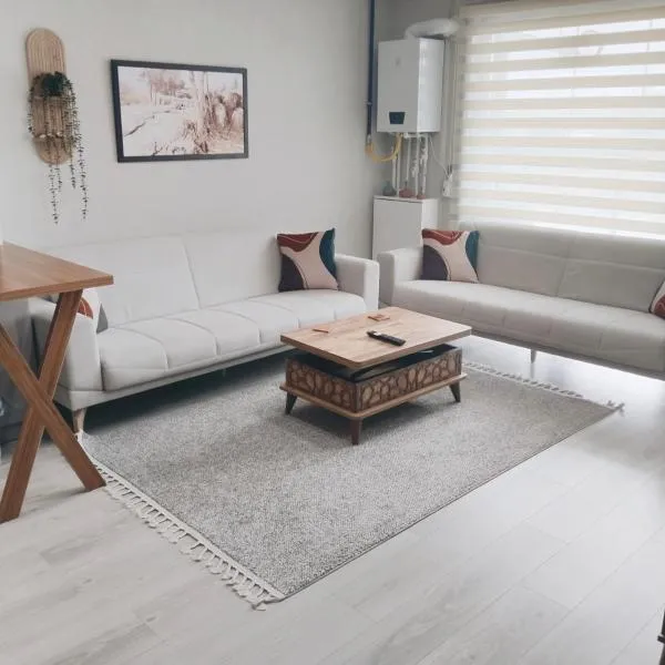 Ankara Esenboğa Airport Comfort Suites, hotel Ankarában