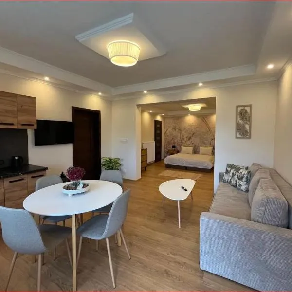 Przystanek Rozkochów, hotel di Rozkochów