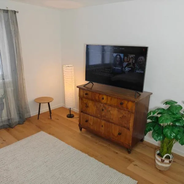 Cozy Modern Apartment in Seelbach near Europa Park, hotel din Seelbach