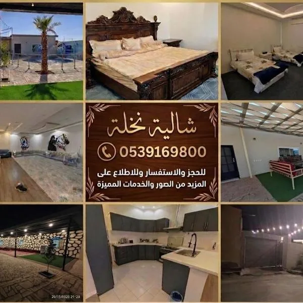 شالية نخلة, hotel v destinaci Burajda