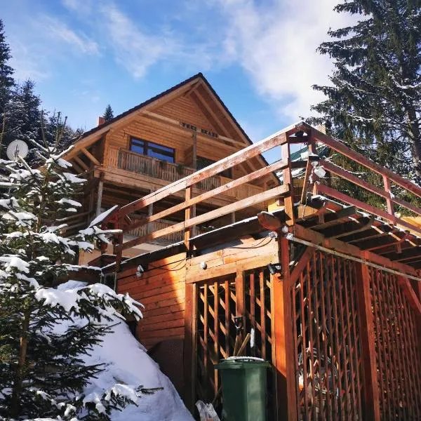 Cabana "Trei Brazi " Retezat, hotel v destinaci Rîu de Mori