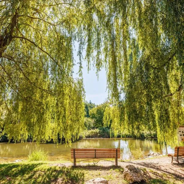 Hostel Art & Style, хотел в Зинген