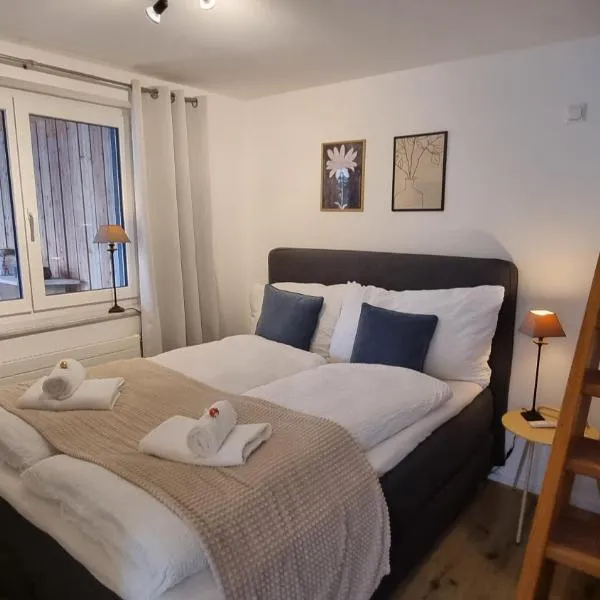 Eigenen Unterkunft I Vierländereck I Natur I St Gallen, Hotel in Rebstein