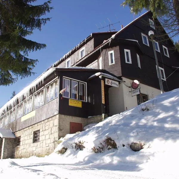 Hotel Flora Dolní Mísečky, hotell i Dolni Misecky