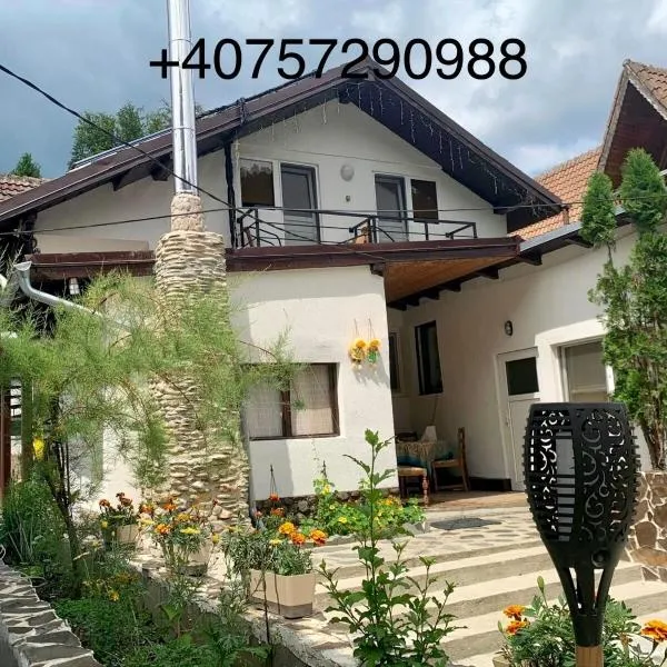 Podul De Brazi, hotel din Cârţişoara