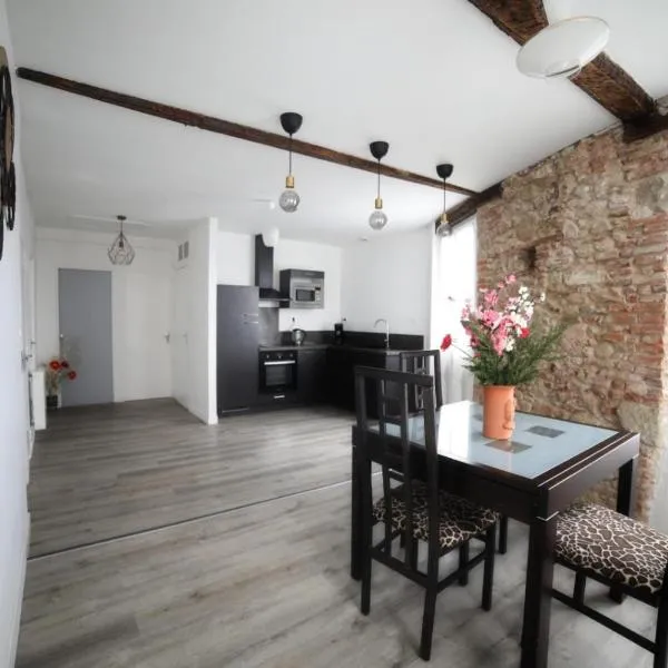 Le pont Saint Roch Logement lumineux avec garage, hôtel à Lavaur