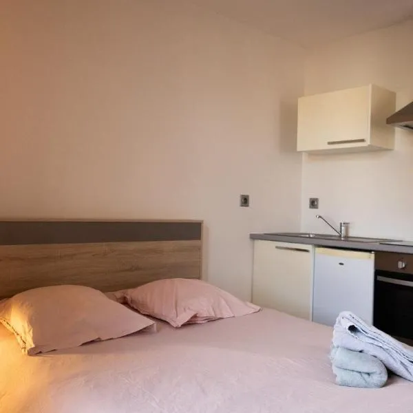 Carnot Suites – Studio 3, Hotel in Le Puy-en-Velay