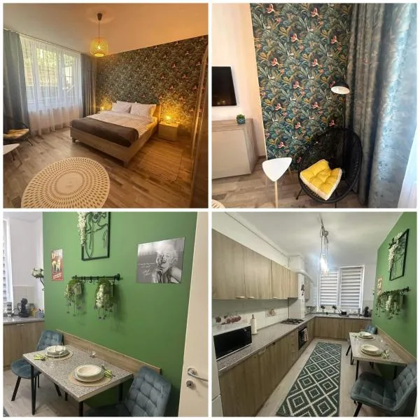 NewLevel Studio Brasov: Braşov şehrinde bir otel
