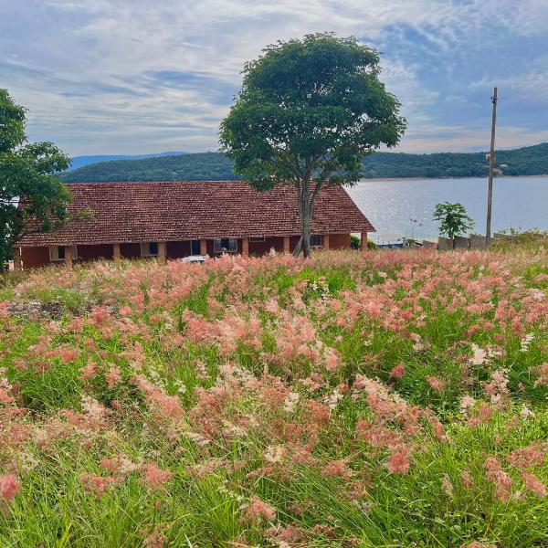 Rancho Roda Branca - Foto 2