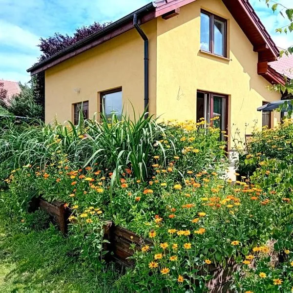 Całoroczny dom w lesie wśród odgłosów przyrody, Hotel in Rogowo