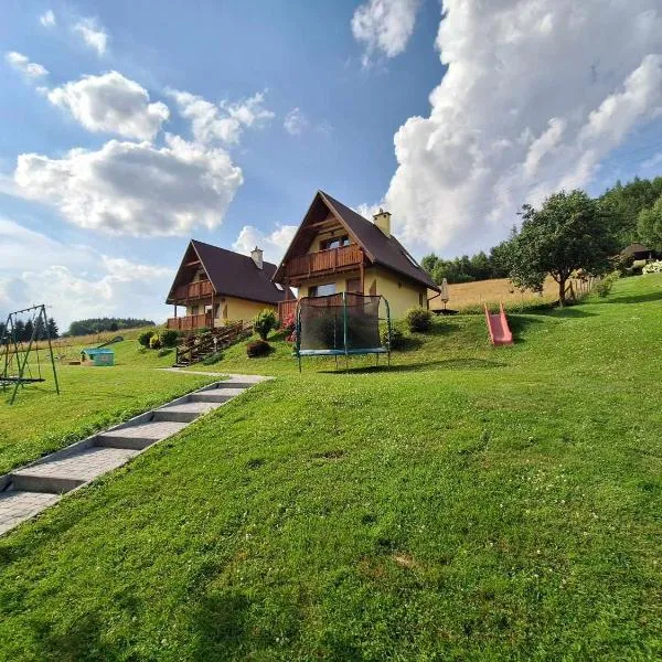 Domki Całoroczne Pod Lasem, hotel v destinaci Łobozew