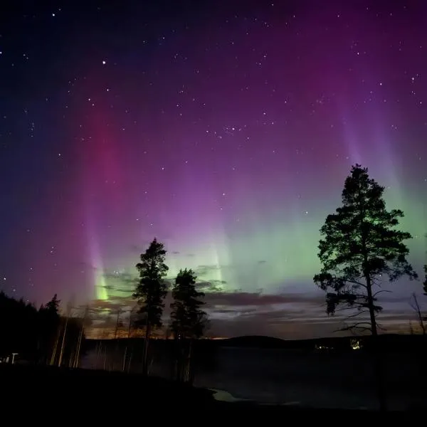 ONNI Village, hotel a Ruokolahti