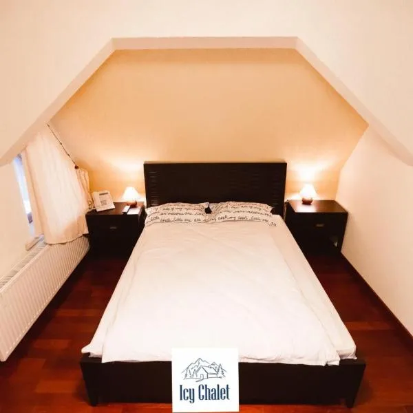 Icy Chalet, хотел в Предеал
