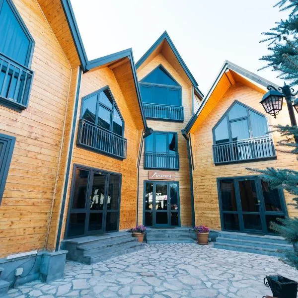 Everest Rest House، فندق في تساجكادزور