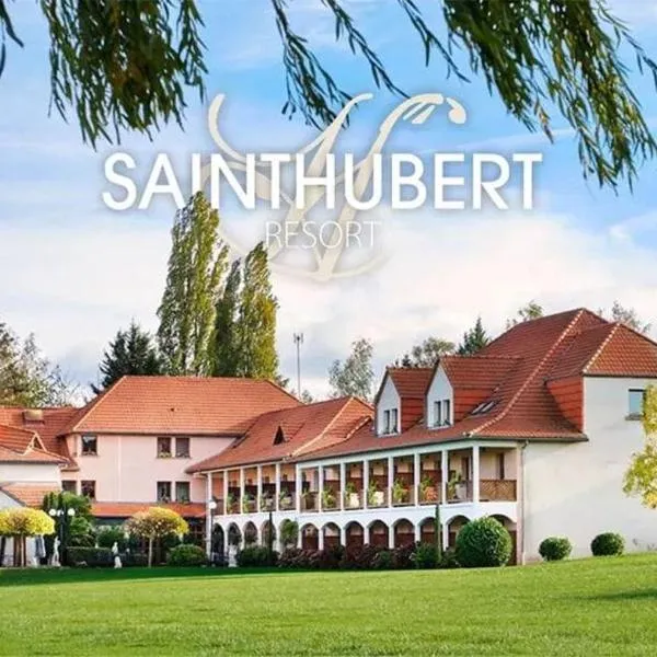 Hotel Saint-Hubert, hotel a Hambach