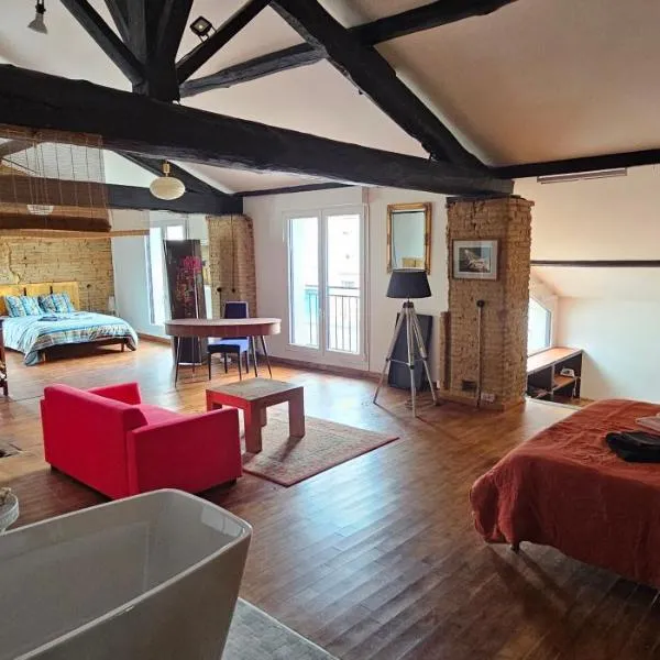 Loft industriel de 220 métres carré sur deux niveaux, hotel en Montech