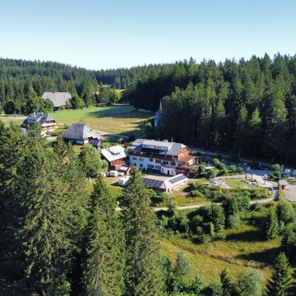 Der Kolmenhof - Dein Ort an der Quelle, ξενοδοχείο σε Furtwangen