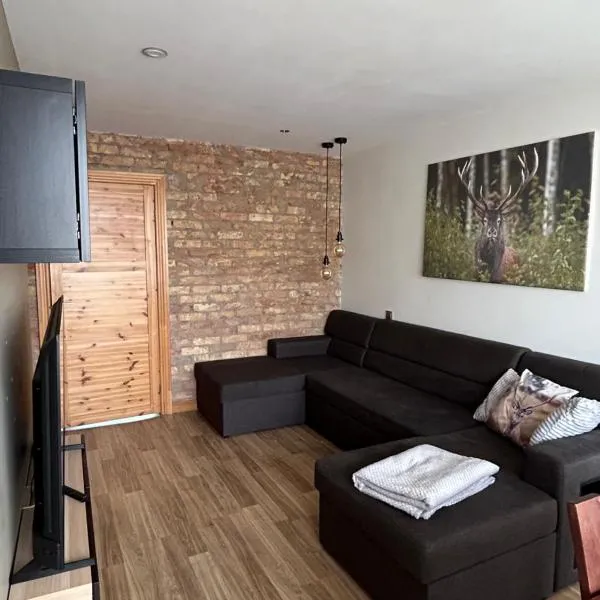 Dzirnavu ielas apartamenti، فندق في Saldus