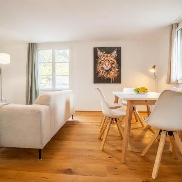 Modern Apartment in Central Basel near Rhine - Special TOP LUX 32 Apartment, up to 2 guests, hotel u Baselu