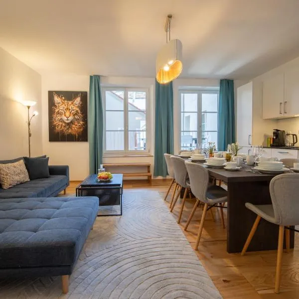 Spacious Apartment in Central Basel near Rhine - Special TOP LUX 14 Apartment, Basel, up to 8 guests, hotell sihtkohas Basel