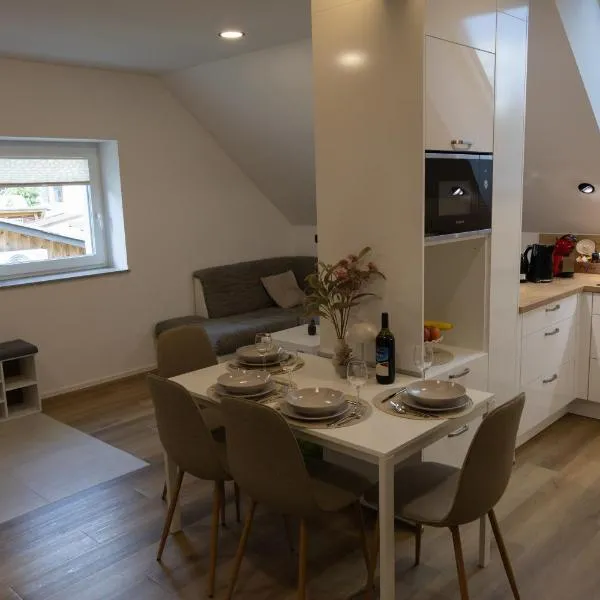 Mahne Apartment, hotel u Kranju