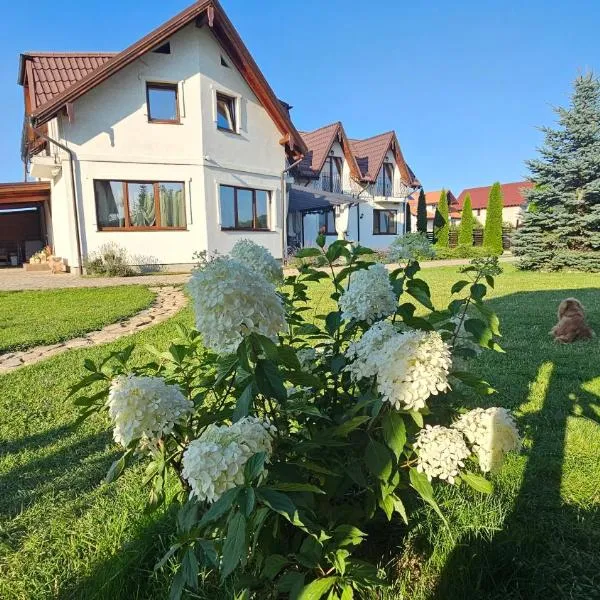 Casa Stefu, hotel i Rîşnov