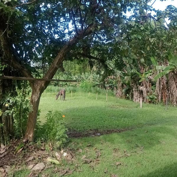 Chalés Haras São Francisco - Foto 4