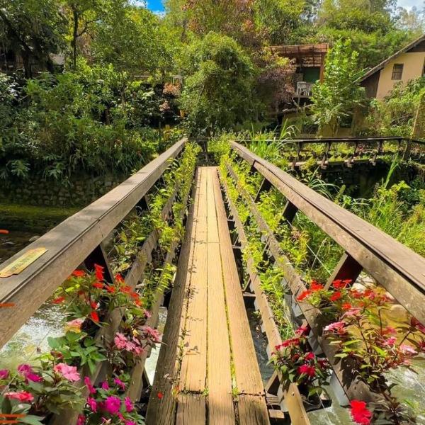 Chalé Rômantico /Jacuzza - Foto 4