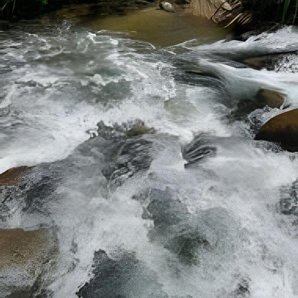 Chalé Rômantico /Jacuzza - Foto 5