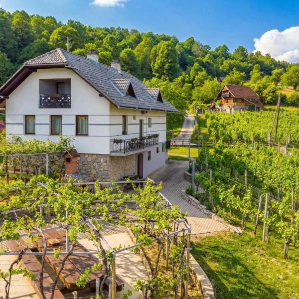 Vrtin Vineyard Family Retreat - Happy Rentals, hotel in Dragatuš