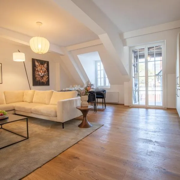 Spacious Apartment in Central Basel near Rhine - Special TOP LUX 34 Apartment, Basel, up to 8 guests, hotell i Basel
