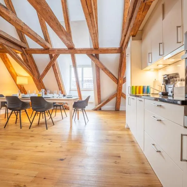 Spacious Apartment in Central Basel near Rhine - Special TOP LUX 42 Apartment, Basel, up to 6 guests, hotel v Bazileji