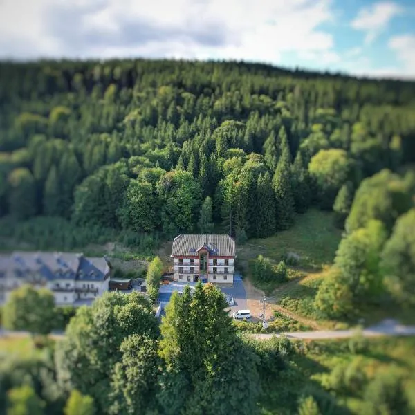 Pokoje Gościnne Leśny Zakątek, hotel u gradu 'Sienna'