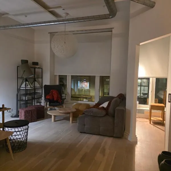 Business- and family Apartment Historical City centre, hotel u Oslu