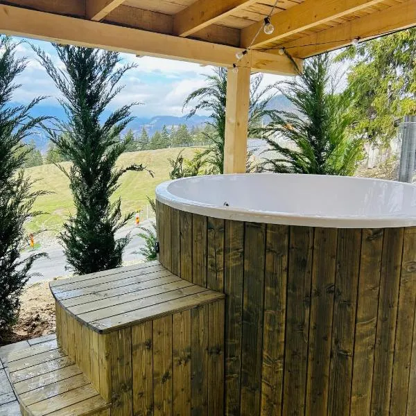 Virajlux, hotel u gradu Dambovičoara