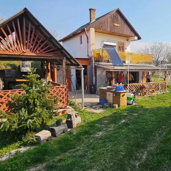 Oscar Apartman Rezi, hotel in Rezi