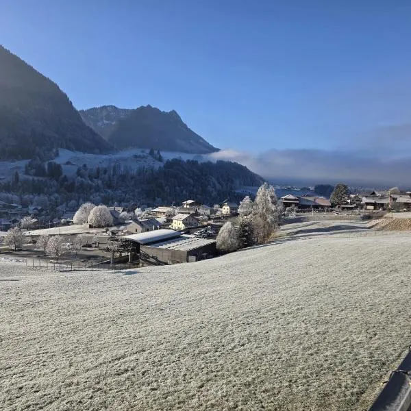 Résidence Bellevue - Hôtel et Studios، فندق في تشاميري