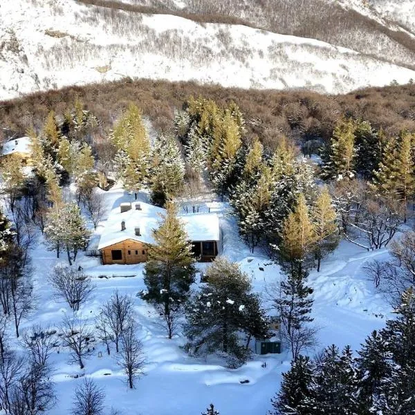 Anima Resort Aghveran - Forest Retreat, ξενοδοχείο σε Aghveran