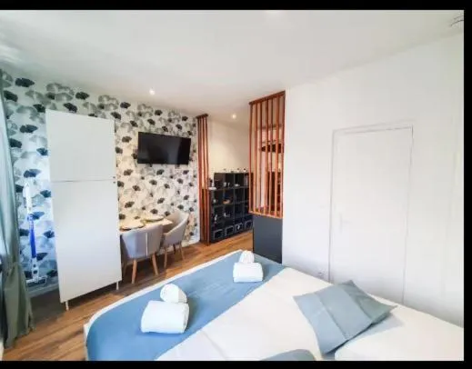 Studio climatisé tout confort, viešbutis mieste Albi