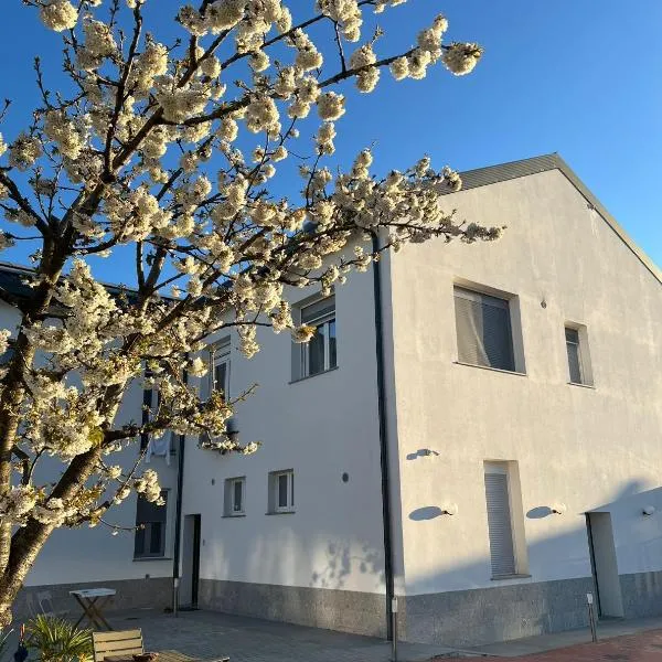 Villa Ibra - Rho Fiera & Milano, Garden & Parking, hotel a Paderno Dugnano