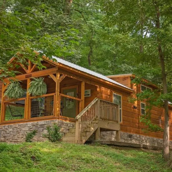 Nana Cabin Tiny Log Home Comfort In Rustic Bliss, hótel í Chattanooga