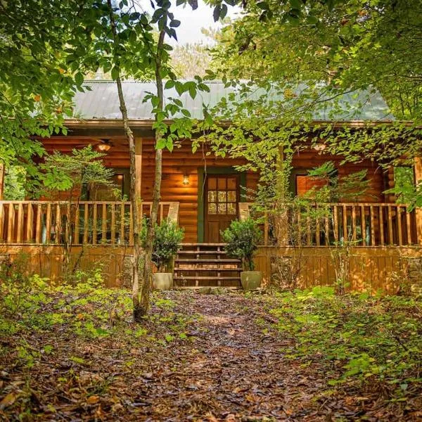 Cherokee Ridge Cabin Near The Ocoee River, hotell sihtkohas Ocoee