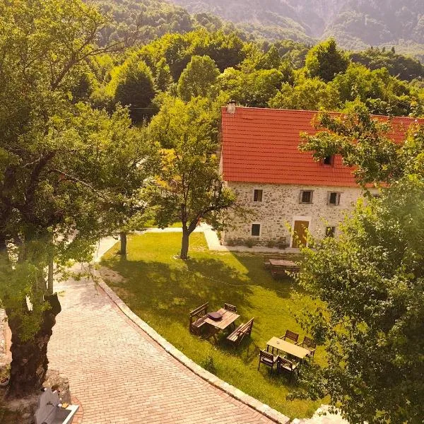 Guesthouse Dritan Tethorja, Hotel in Theth