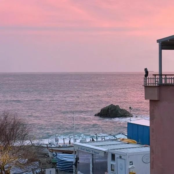 Barbagin from sea, hotel en Monterosso al Mare