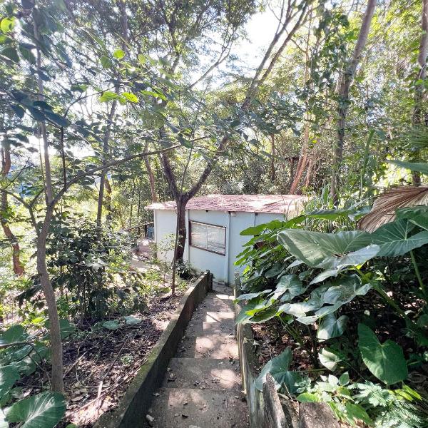Casinha Natureza - Foto 3