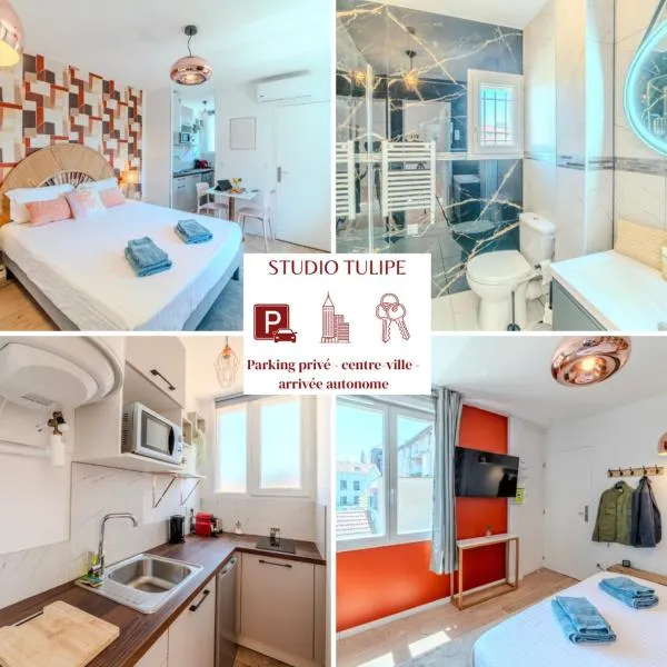 Tulipe Roanne centre-ville - Parking & Clim, hotel Roanne-ban