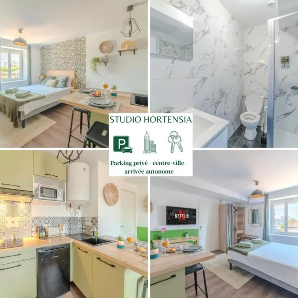 Hortensia Roanne centre-ville - Parking & Clim, Hotel in Roanne