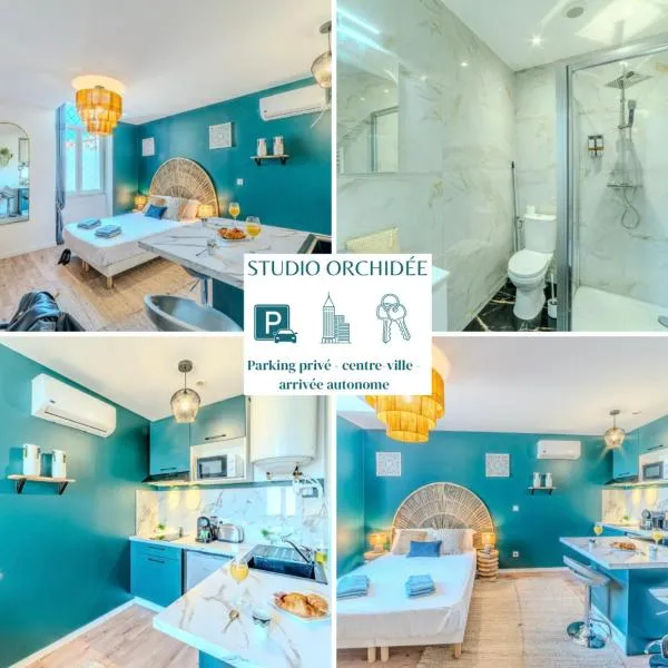 Orchidée Parking & Clim - Roanne centre-ville, Hotel in Roanne