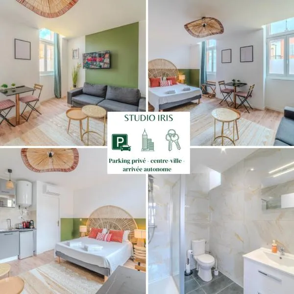 Iris Parking & Clim - Roanne centre-ville, hotel di Roanne