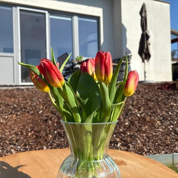 Ferienhaus am Tor zur Wachau, Hotel in Eggendorf